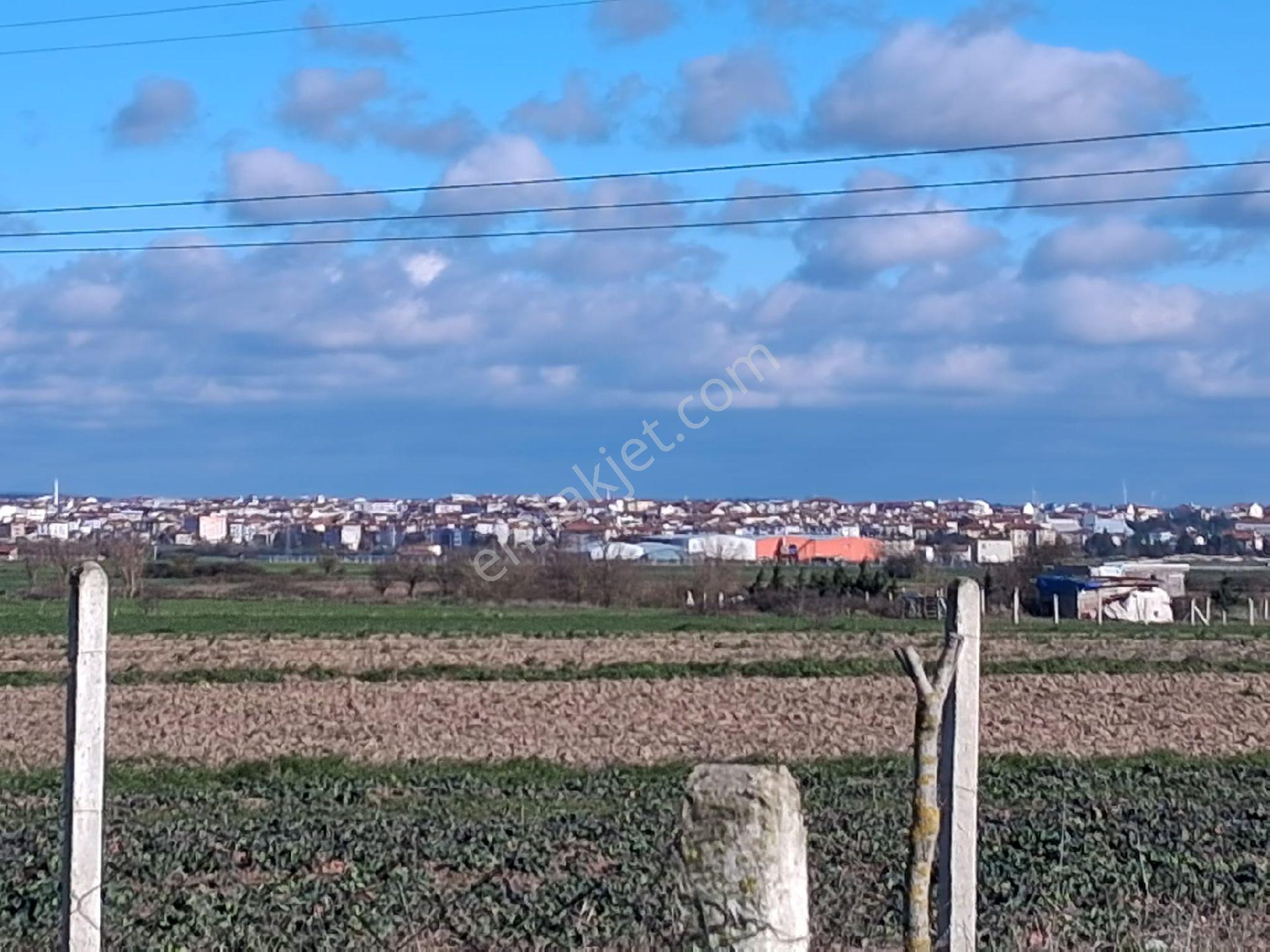 Yerleşimin Dibinde Satılık Tarla