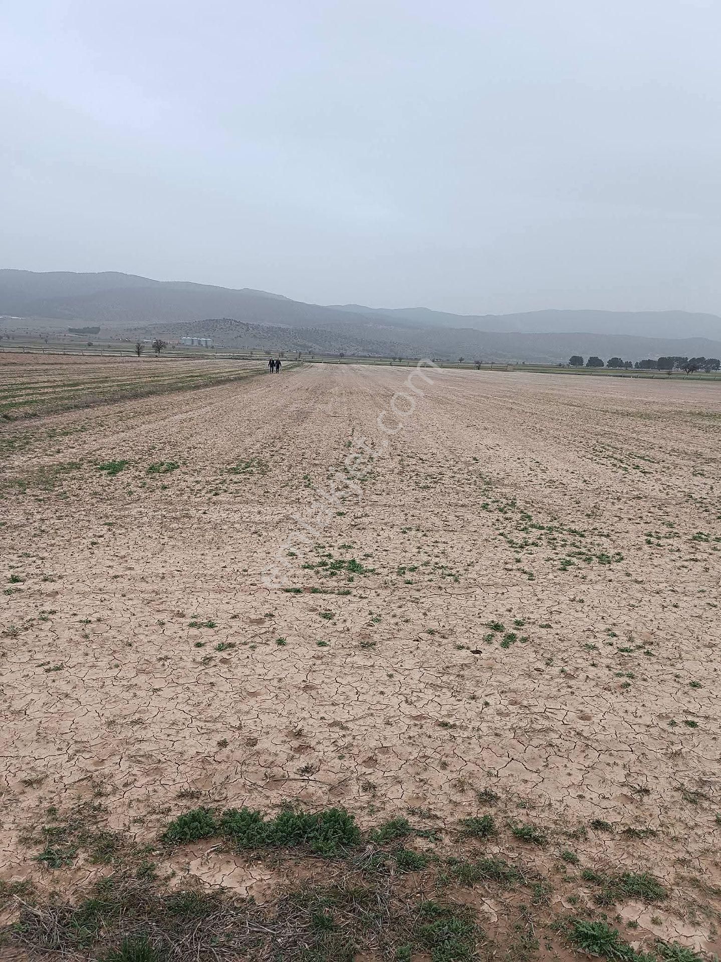 Denizli Baklan Hadım Mah Satılık Tarla