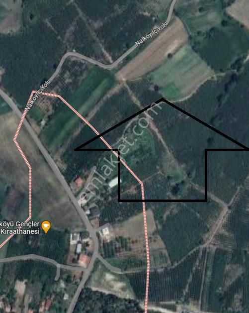 Sahibinden Satılık Çok Amaçlı Fındık Bahçesi - Ferizli Nalköy Mahal - Görsel 2