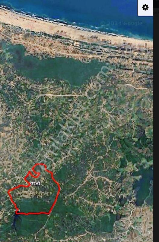 Sahibinden Satılık Çok Amaçlı Fındık Bahçesi - Ferizli Nalköy Mahal - Görsel 16