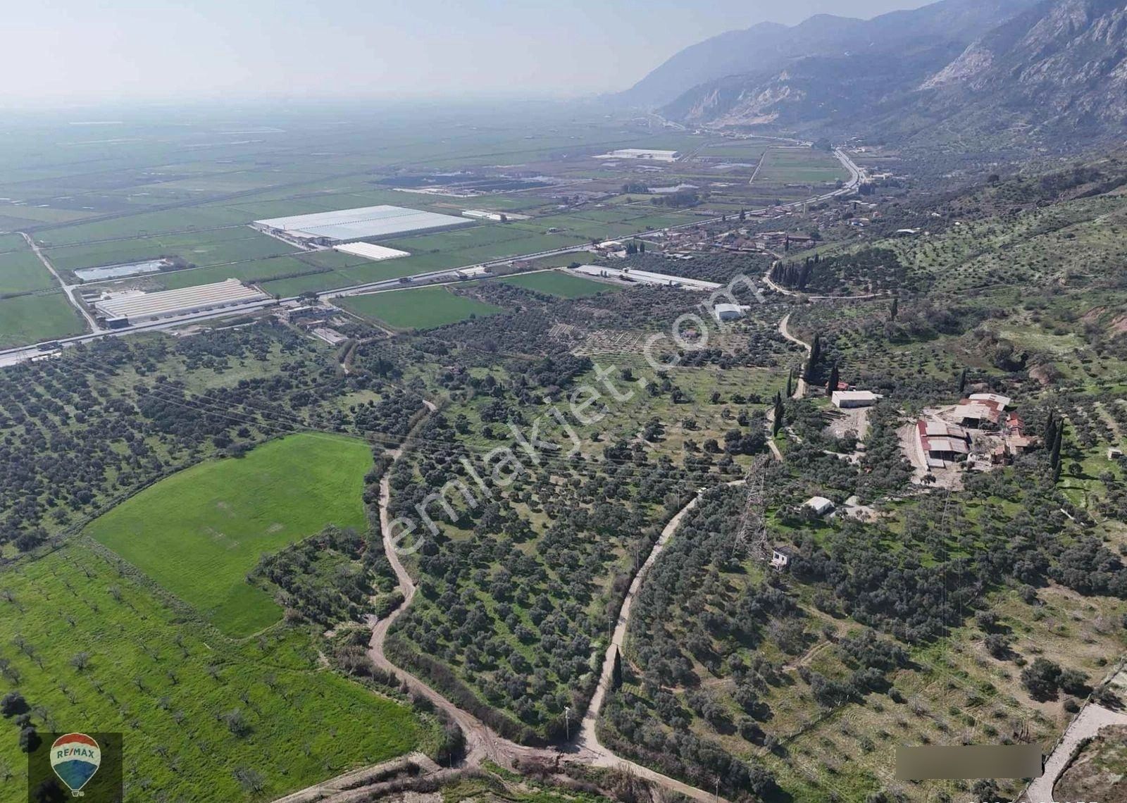 Aydın Söke Argavlı'da Satılık.. Zeytin,incir Bahçesi.... - Görsel 16