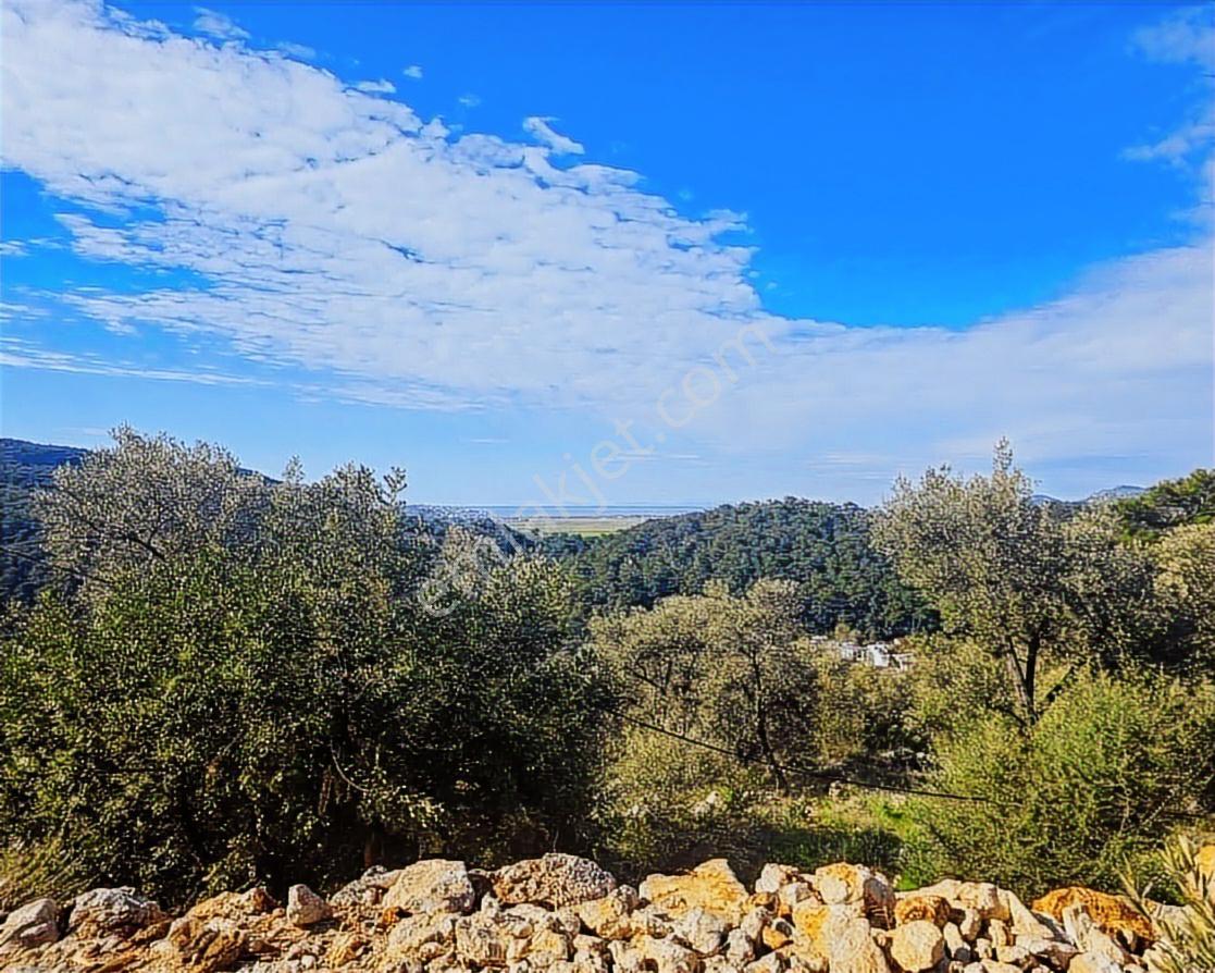 Yetkili Ofis - Havalimanına Komşu, Denize Karşı 2445 M2 Arazi - Görsel 8