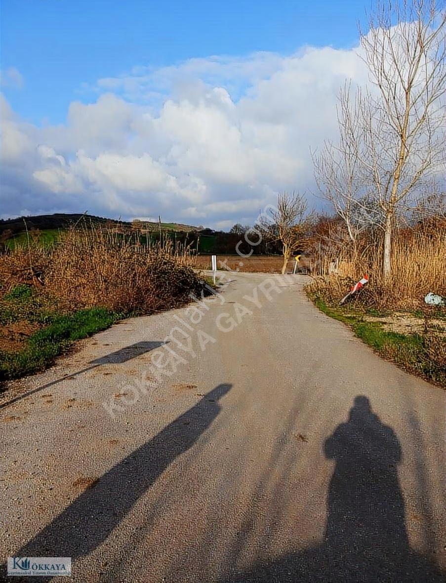 Yörükyenicesinde Satılık Fırsat Ceviz Bahçesi&bağ Evi - Görsel 27