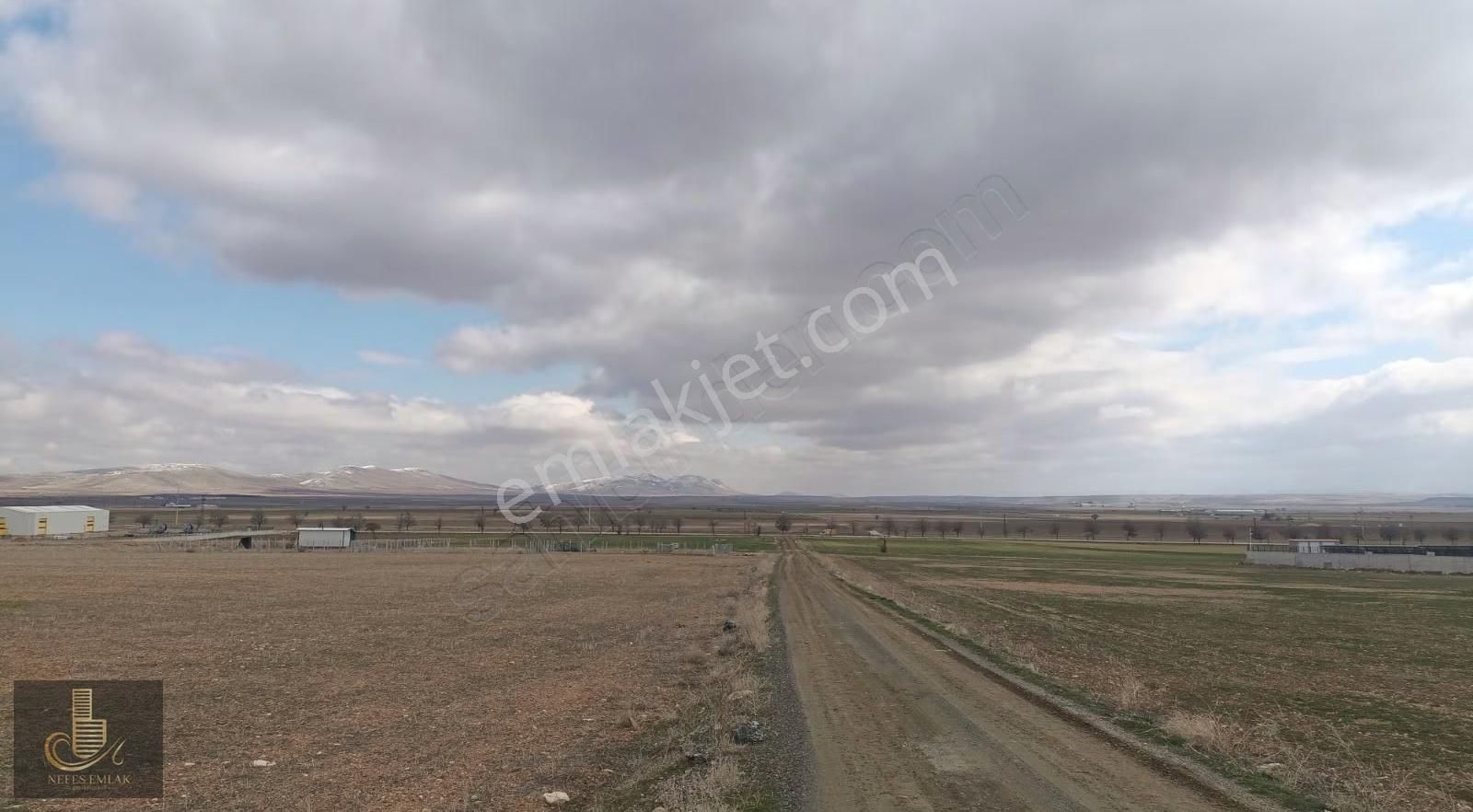 Hatunsaray Yoluna Yürüme Mesfesinde 33.426 Metre Satılık Tarla - Görsel 2