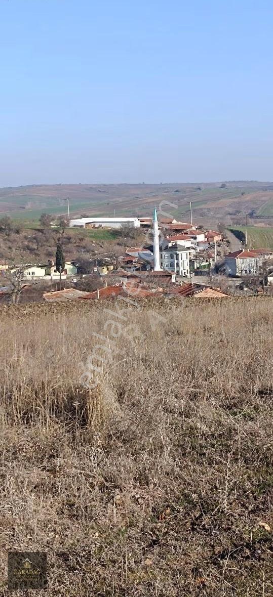 Tekirdağ Hayrabolu Hasköy'de Satılık Kupon Tarla - Görsel 6