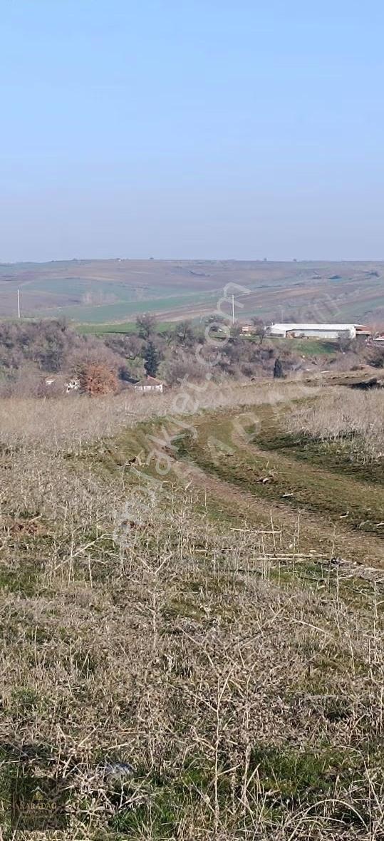 Tekirdağ Hayrabolu Hasköy'de Satılık Kupon Tarla - Görsel 7