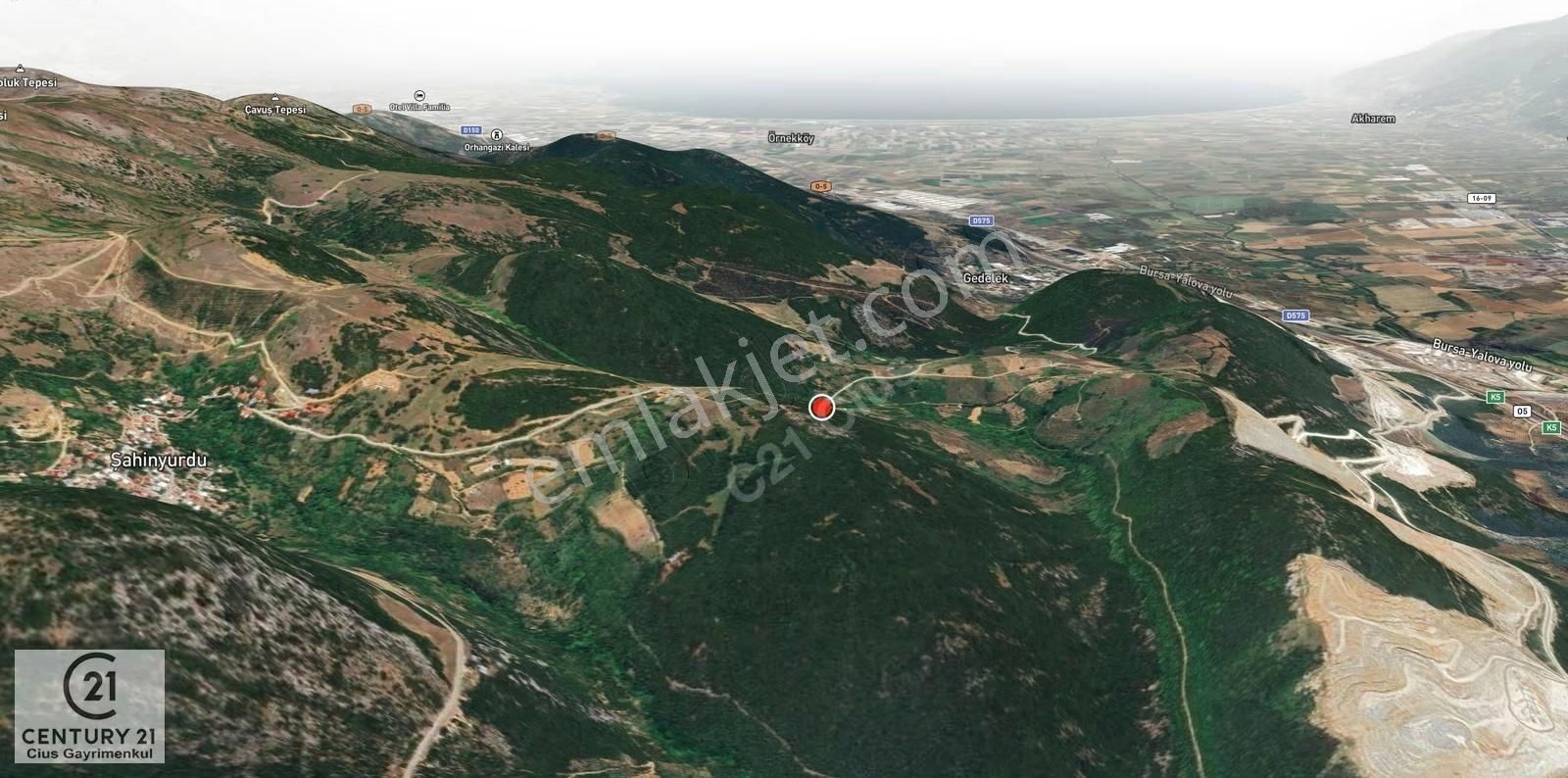 C21 Cius; Asvalta Sıfır 4.120 M2 Bakımlı Masrafsız Zeytinlik - Görsel 7