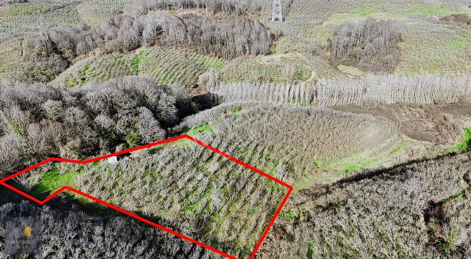 Karasu'da Müstakil Tapulu 3836 M² Fındık Bahçesi - Görsel 14
