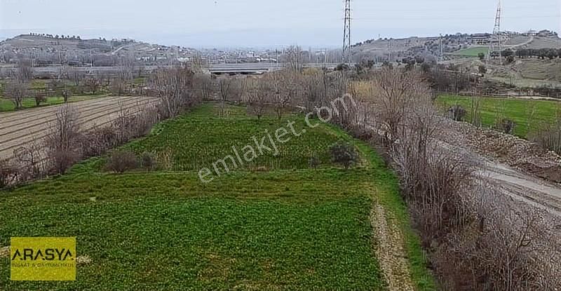Duacılı Otoban Kenarında Yatırım İçin Mükemmel Bir Tarla - Görsel 15