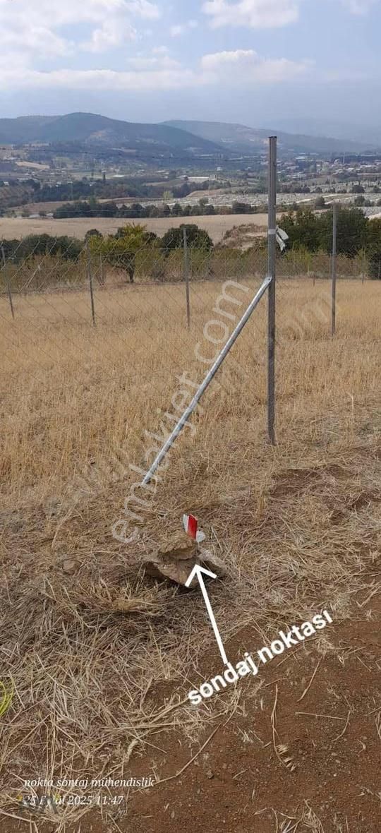 İva'dan Erdoğanköyde Emsalsiz Manzaralı Fırsat Arazi