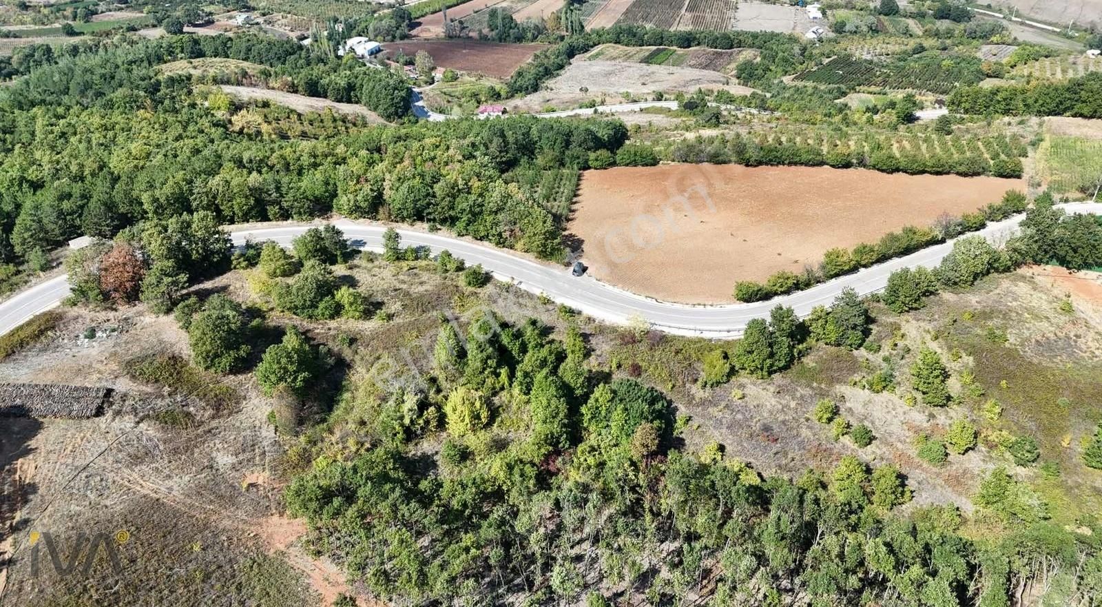 İva'dan Alaçam Yol Üzeri 1.250m2 Ormana Cephe Fırsat - Görsel 13