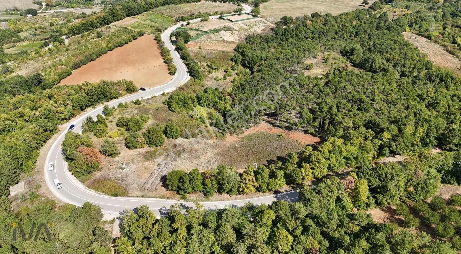 İva'dan Alaçam Yol Üzeri 1.250m2 Ormana Cephe Fırsat - Görsel 11