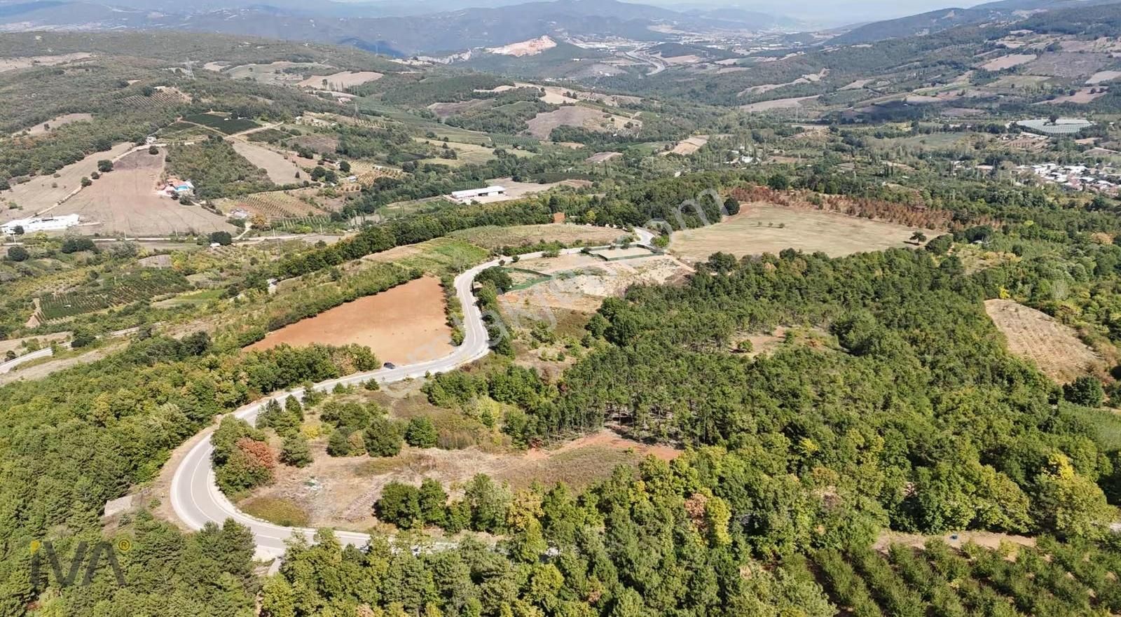 İva'dan Alaçam Yol Üzeri 1.250m2 Ormana Cephe Fırsat - Görsel 8