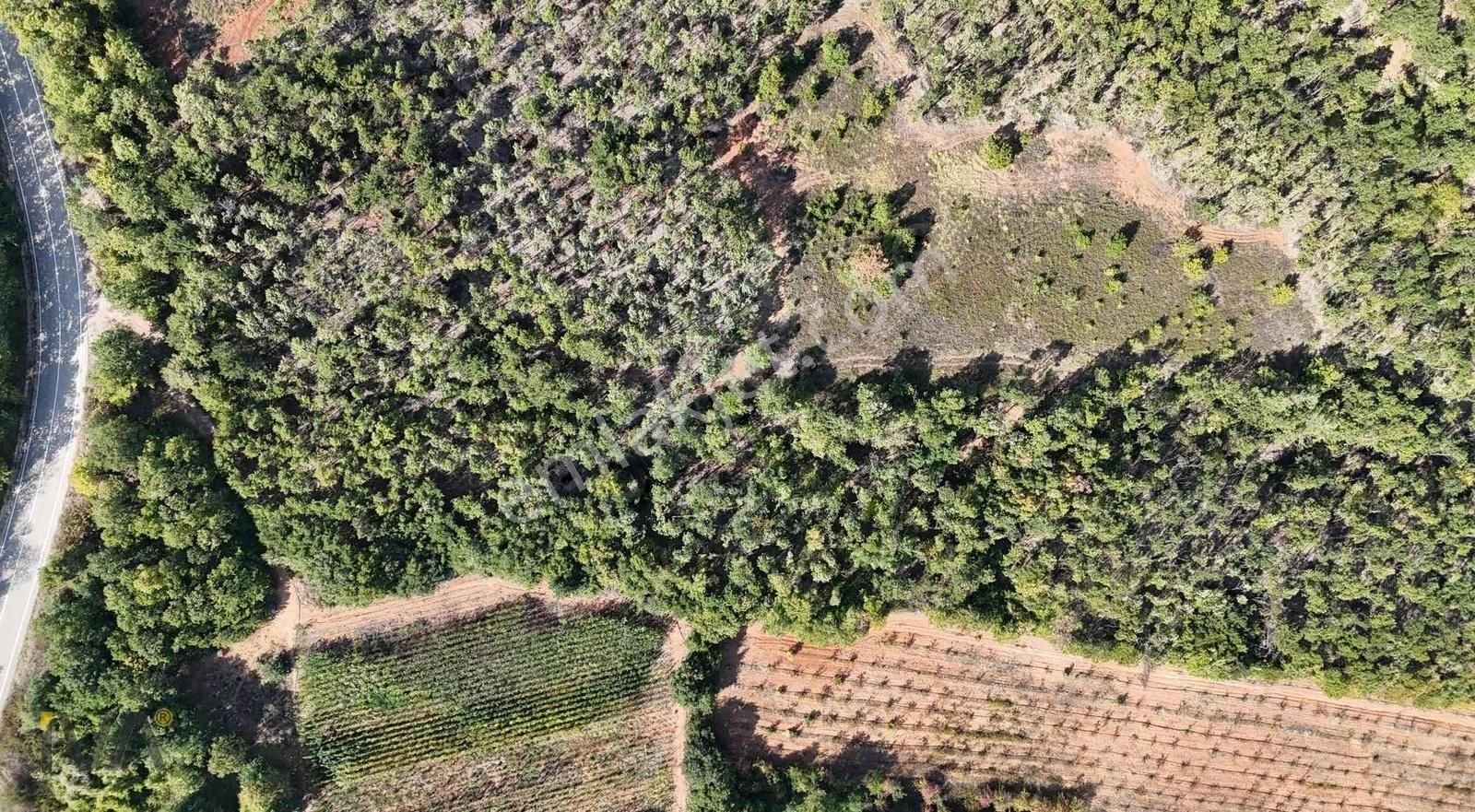 İva'dan Alaçam Yol Üzeri 1.250m2 Ormana Cephe Fırsat - Görsel 7