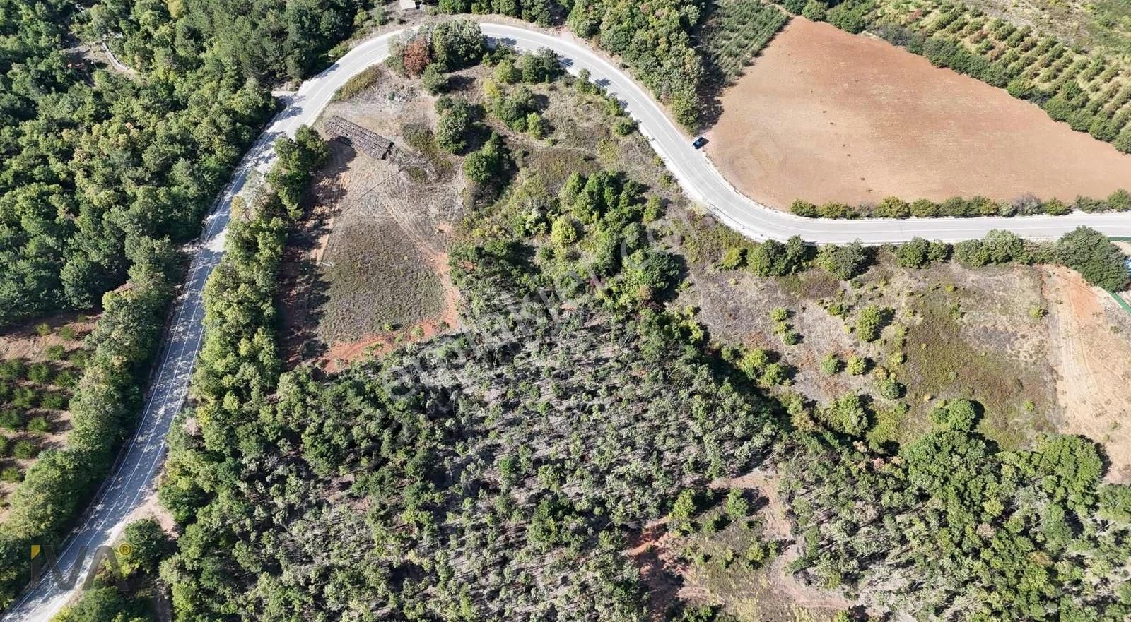 İva'dan Alaçam Yol Üzeri 1.250m2 Ormana Cephe Fırsat - Görsel 6