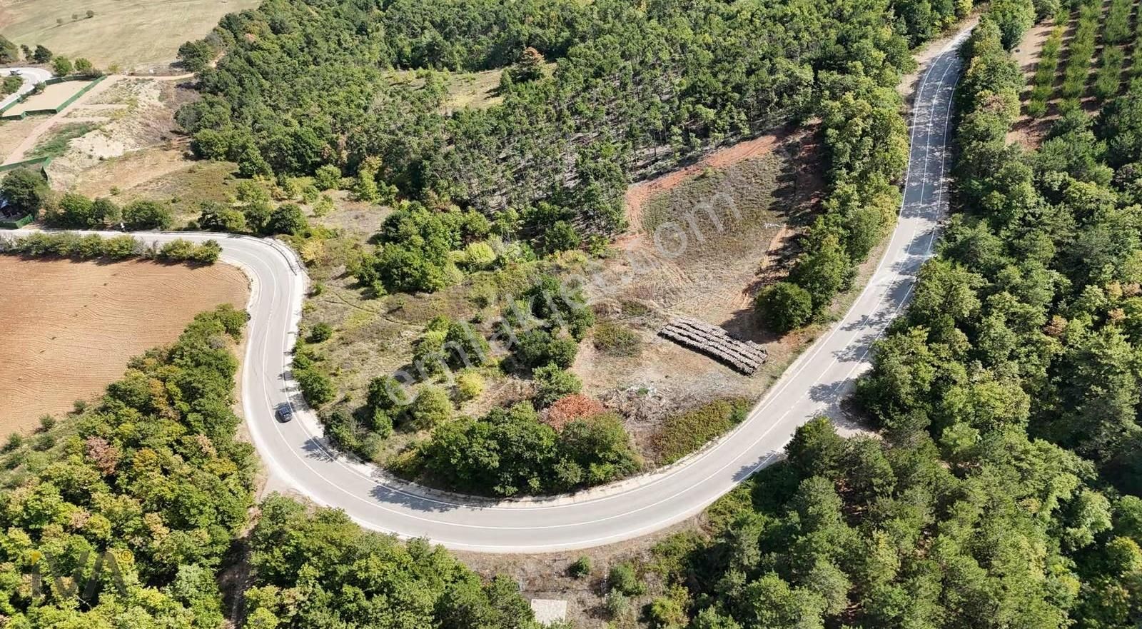 İva'dan Alaçam Yol Üzeri 1.250m2 Ormana Cephe Fırsat