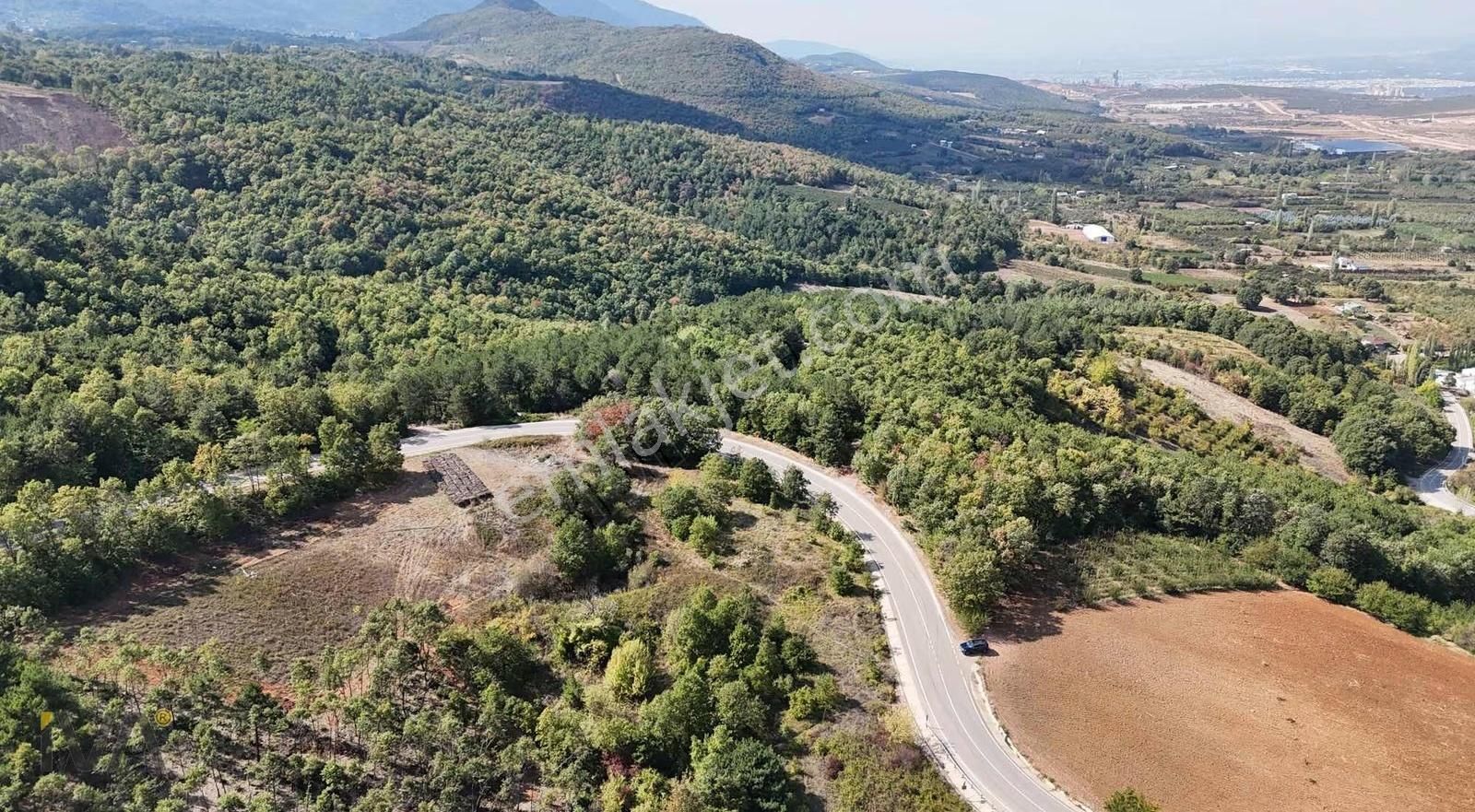 İva'dan Alaçam Yol Üzeri 1.250m2 Ormana Cephe Fırsat - Görsel 15