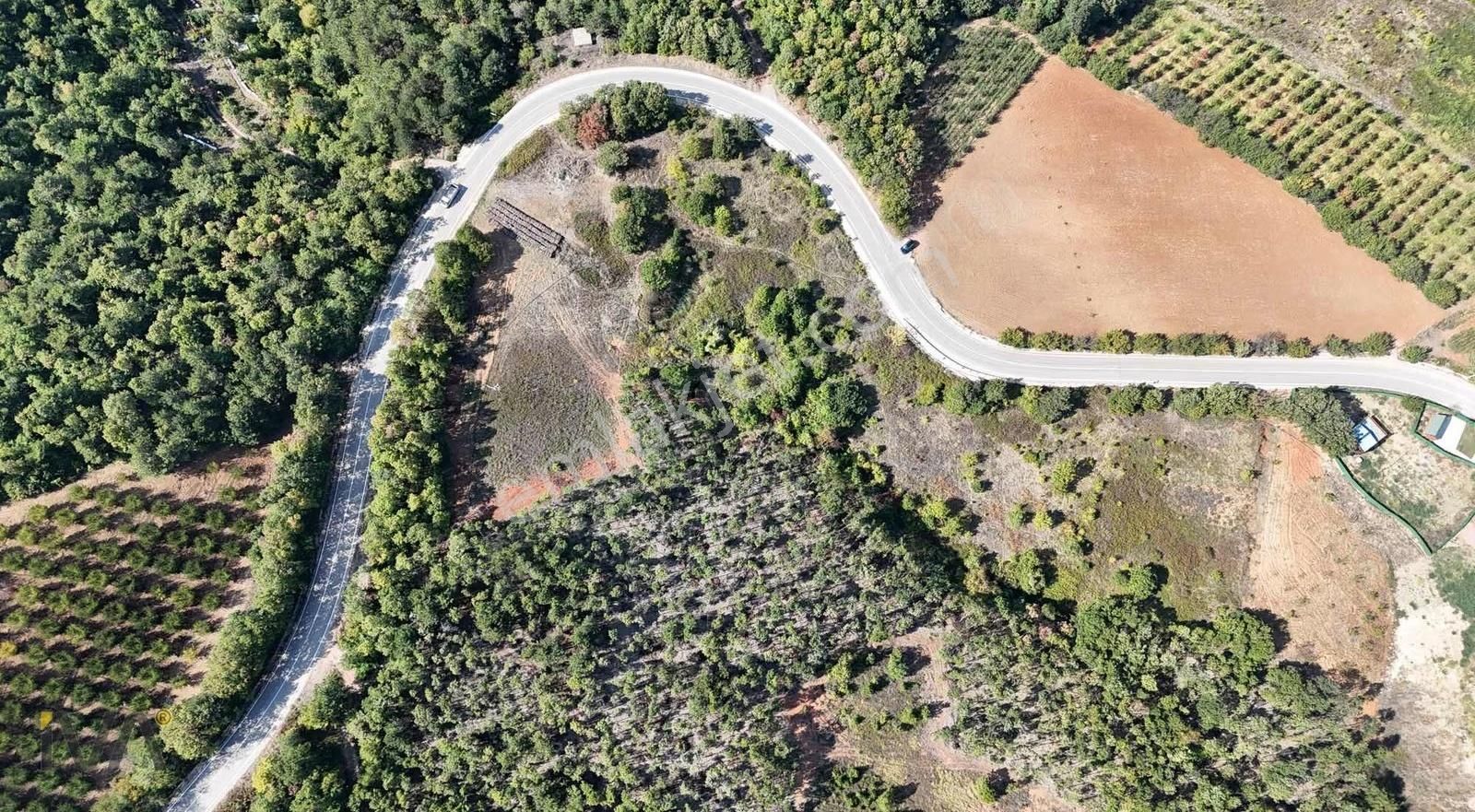 İva'dan Alaçam Yol Üzeri 1.250m2 Ormana Cephe Fırsat - Görsel 10