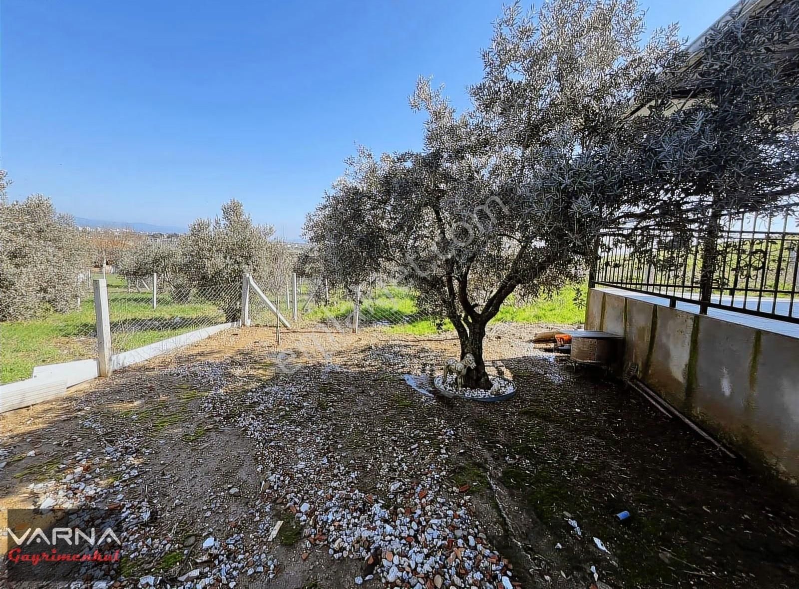 Menderes Oğlananası Satılık Köy İçi 217 M2 Bahçeli Ev - Görsel 12