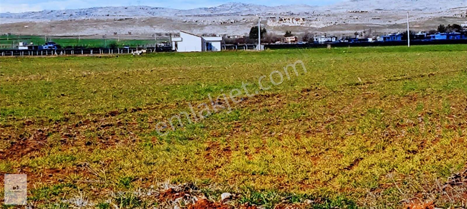 Diyarbakır Ergani Aşağıkuyulu Mah.satılık Konumu Güzel Arazi
