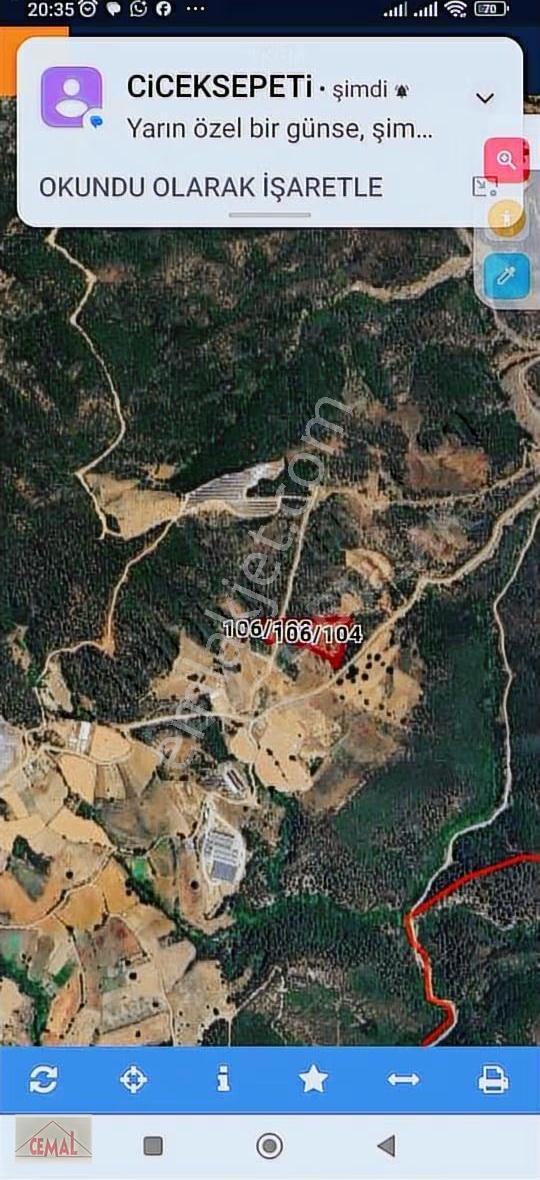 Kestel Ağlaşan Bölgesinde Çiftlikler Bölgesinde Baraj Yolu Güzer - Görsel 8