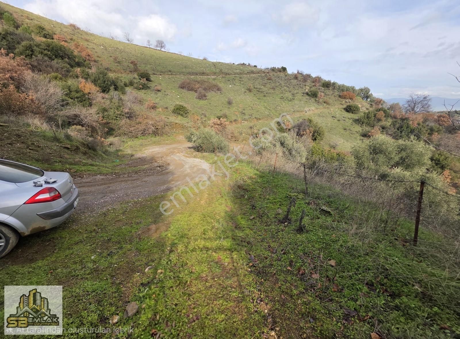 İzmir Tire Sb Emlak'tan Dereli Mahallesinde Satılık Zeytinlik - Görsel 7