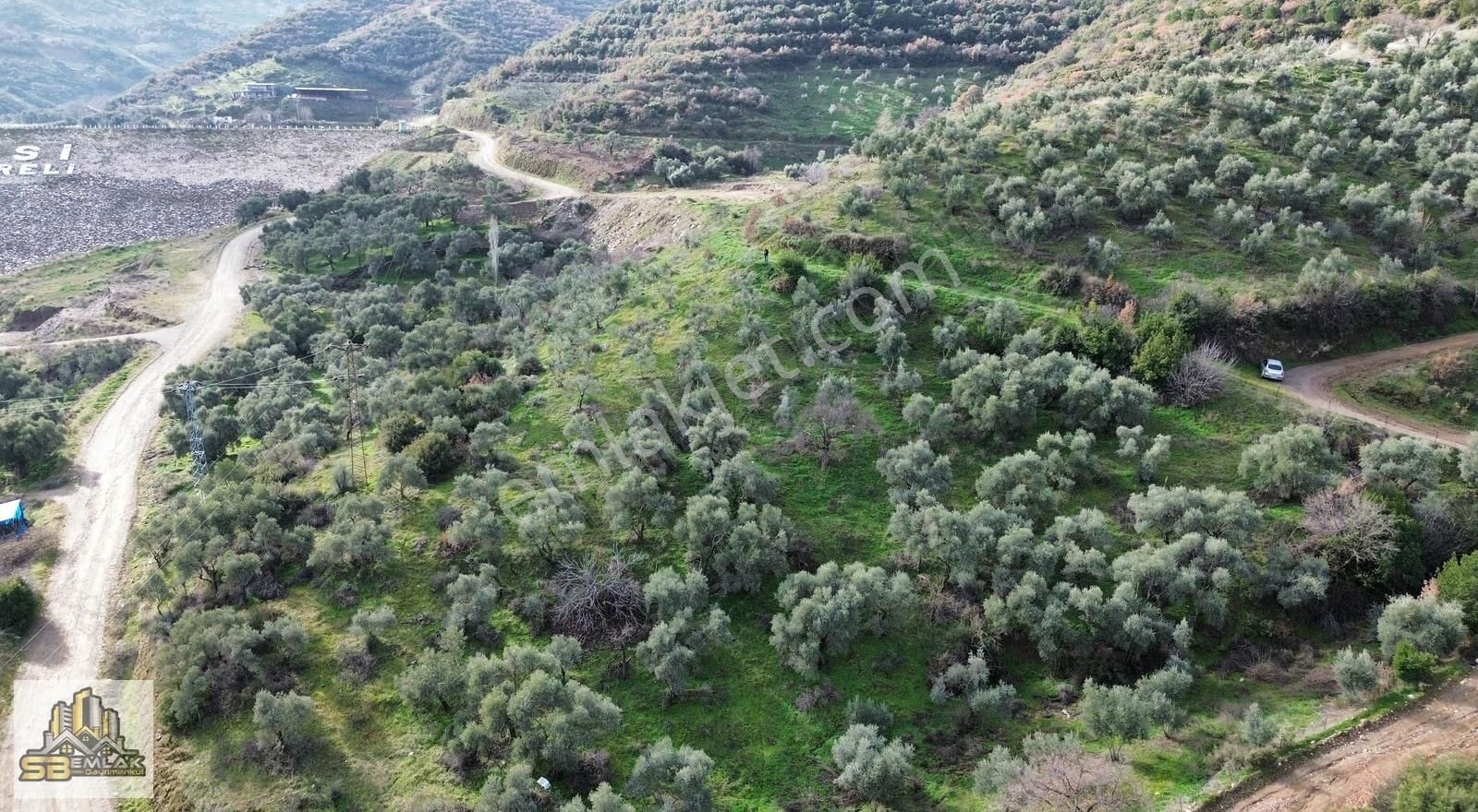 İzmir Tire Sb Emlak'tan Dereli Mahallesinde Satılık Zeytinlik - Görsel 13
