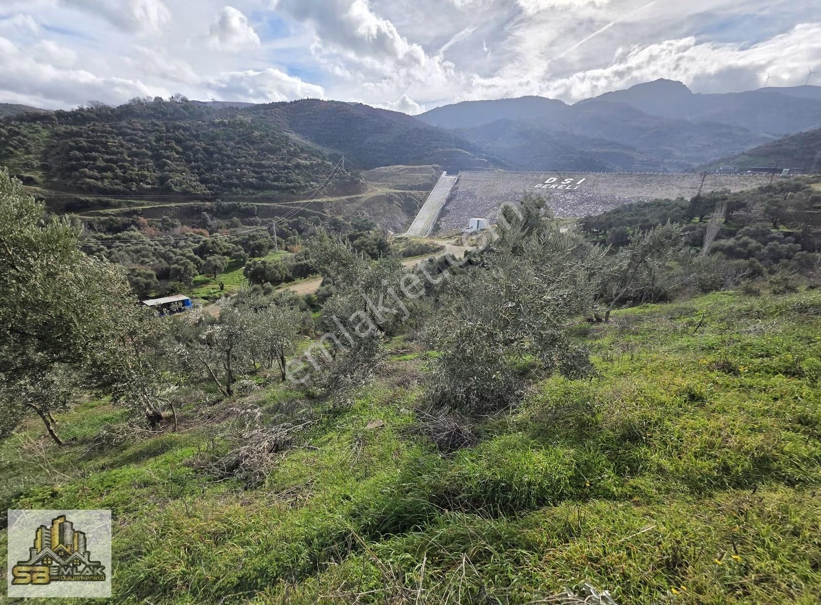 İzmir Tire Sb Emlak'tan Dereli Mahallesinde Satılık Zeytinlik - Görsel 15
