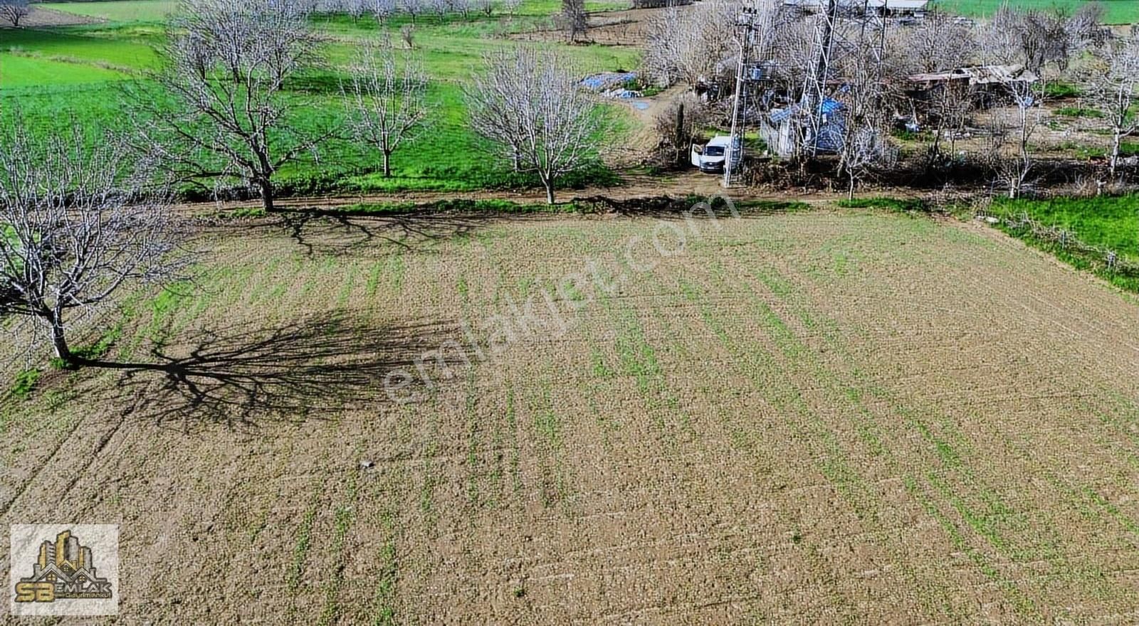 İzmir Tire Sb Emlak'tan Kürdüllü Mahallesinde Satılık Tarla