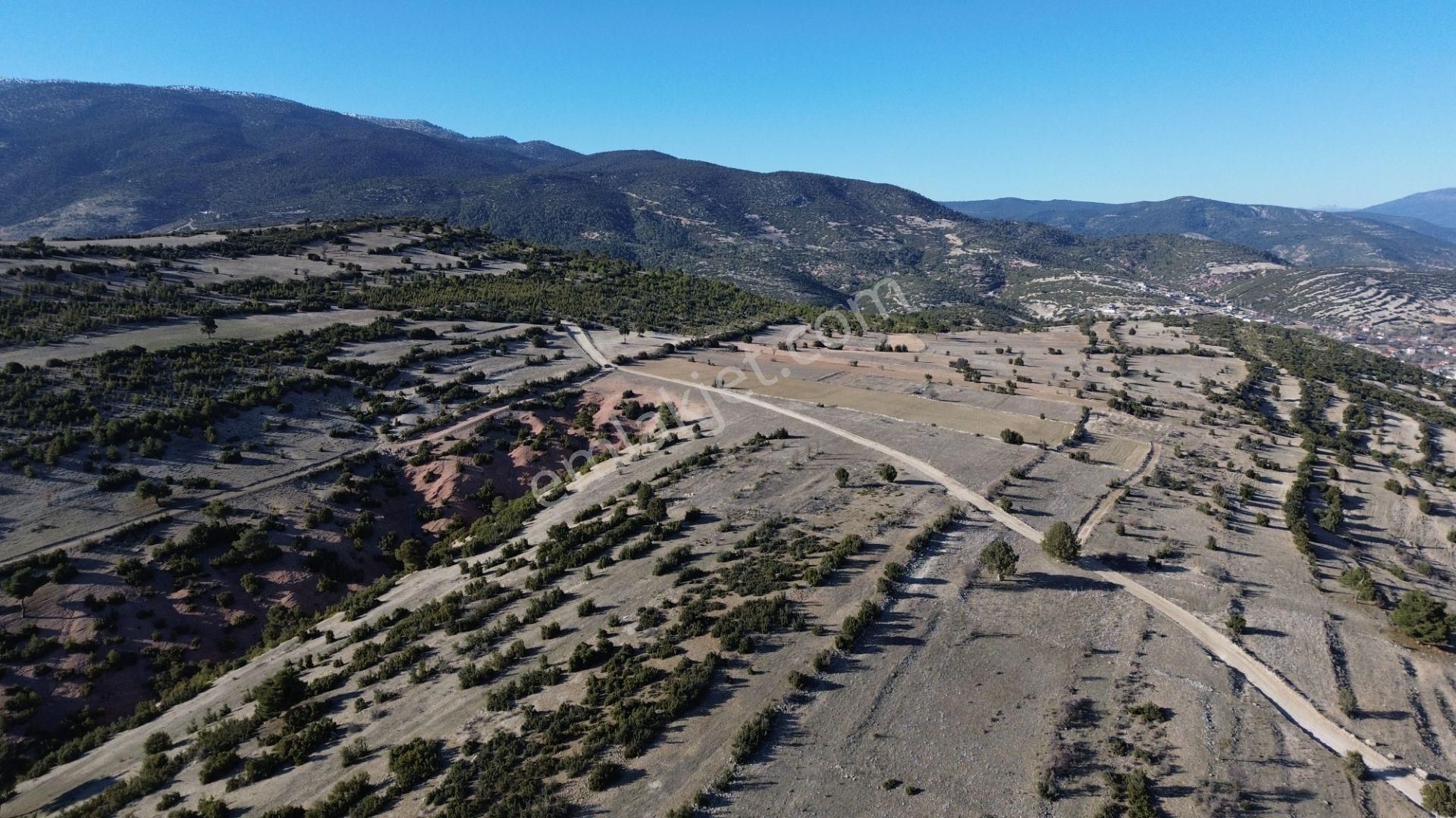 Korkuteli Yeltende 705 M2 Uygun Fiyata Kaçırılmaz Fırsat Tarlaa - Görsel 14