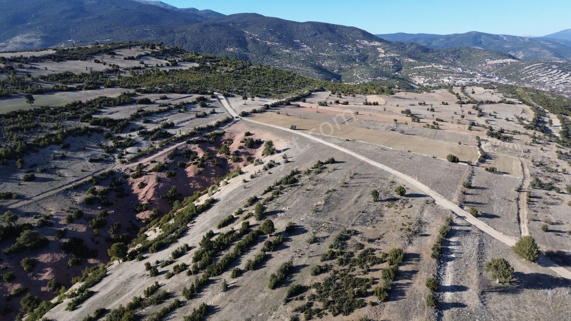 Korkuteli Yeltende 705 M2 Uygun Fiyata Kaçırılmaz Fırsat Tarlaa - Görsel 12