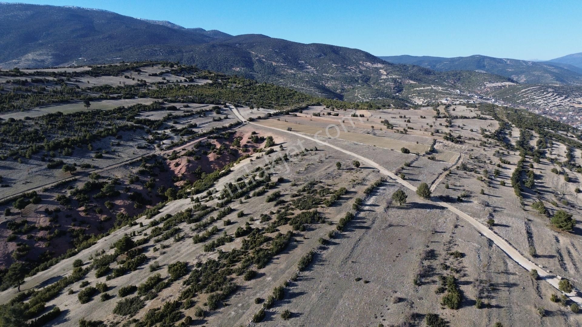 Korkuteli Yeltende 705 M2 Uygun Fiyata Kaçırılmaz Fırsat Tarlaa - Görsel 13