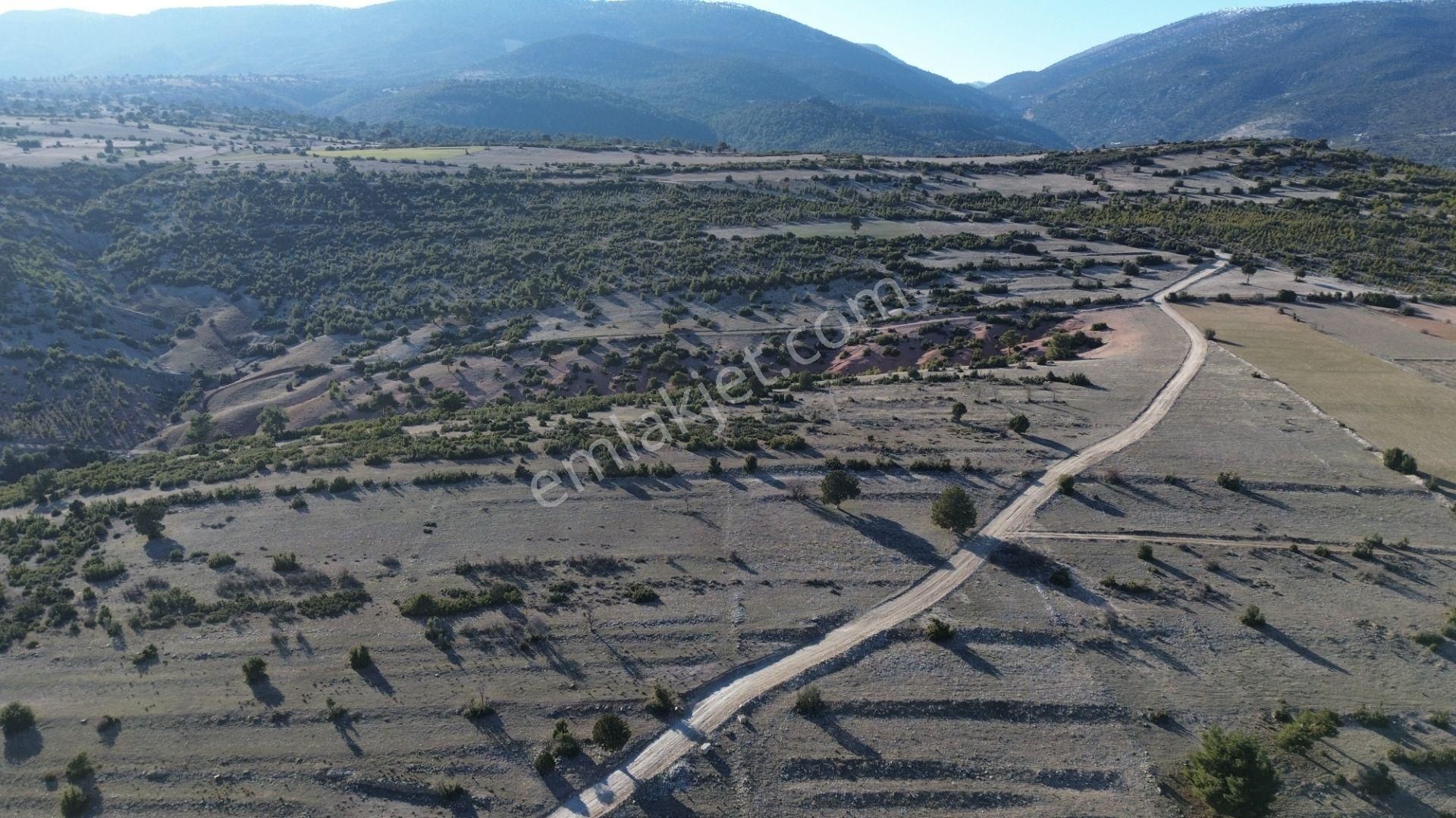 Korkuteli Yeltende 705 M2 Uygun Fiyata Kaçırılmaz Fırsat Tarlaa - Görsel 21