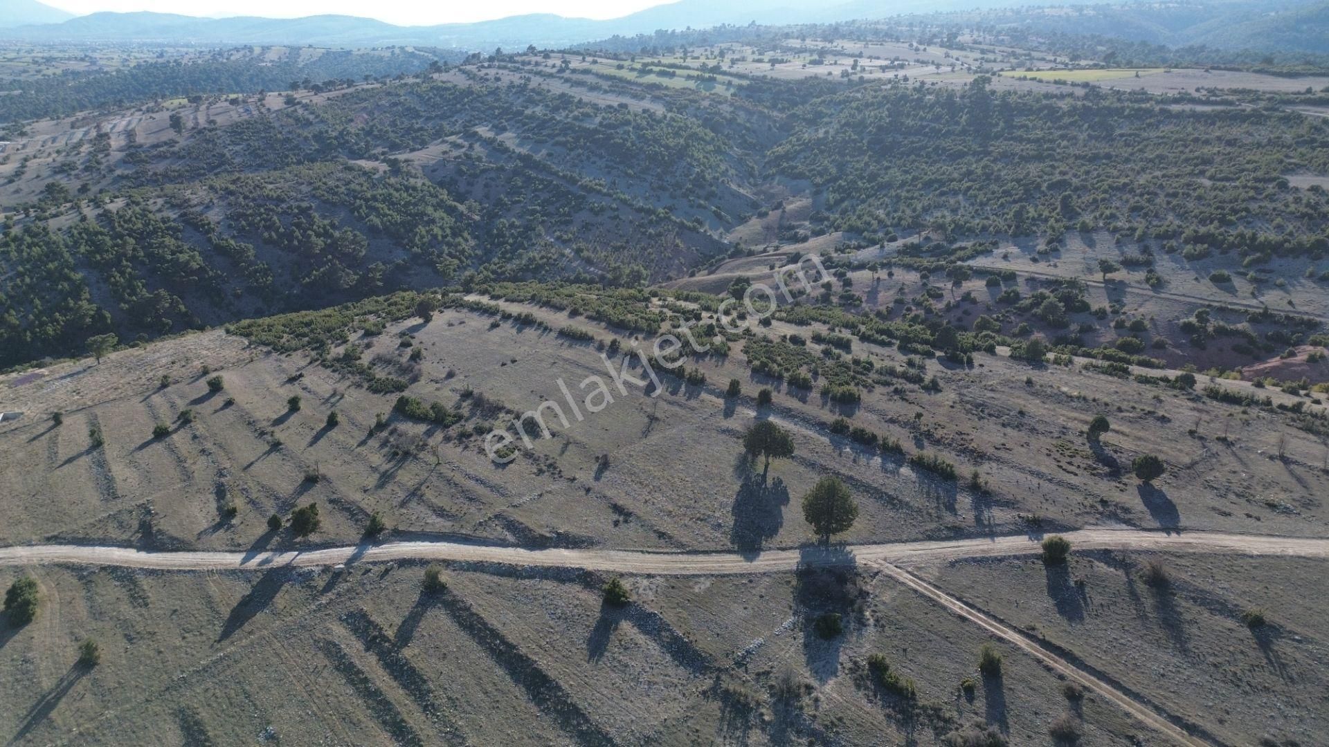 Korkuteli Yeltende 705 M2 Uygun Fiyata Kaçırılmaz Fırsat Tarlaa - Görsel 23