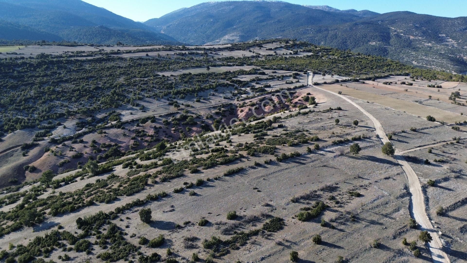 Korkuteli Yeltende 705 M2 Uygun Fiyata Kaçırılmaz Fırsat Tarlaa - Görsel 17