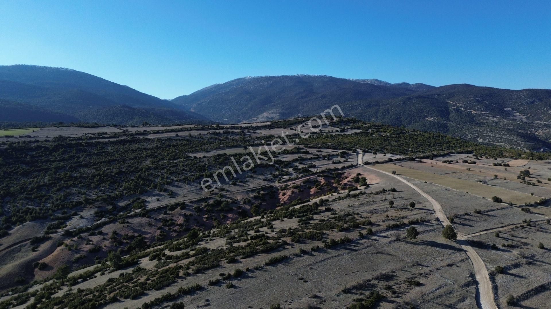 Korkuteli Yeltende 705 M2 Uygun Fiyata Kaçırılmaz Fırsat Tarlaa - Görsel 16