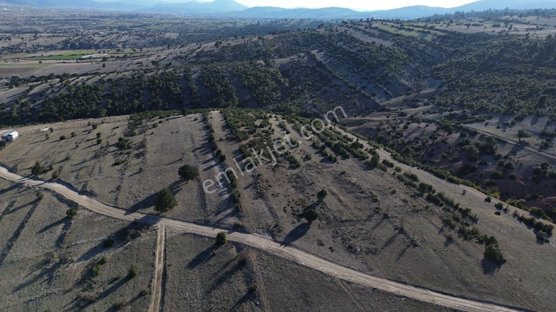 Korkuteli Yeltende 705 M2 Uygun Fiyata Kaçırılmaz Fırsat Tarlaa - Görsel 25