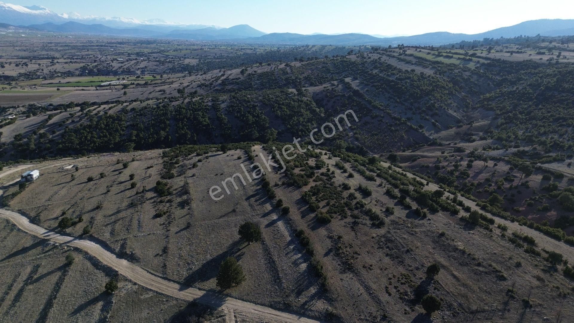 Korkuteli Yeltende 705 M2 Uygun Fiyata Kaçırılmaz Fırsat Tarlaa - Görsel 24