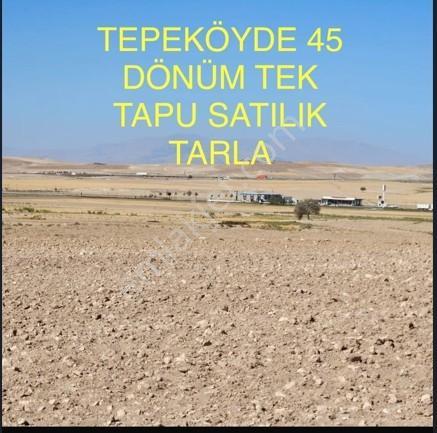 Toros Emlak'tan Ulukışla Şeyhömerli Köyü Satılık 45 Dönüm Tarla - Görsel 10