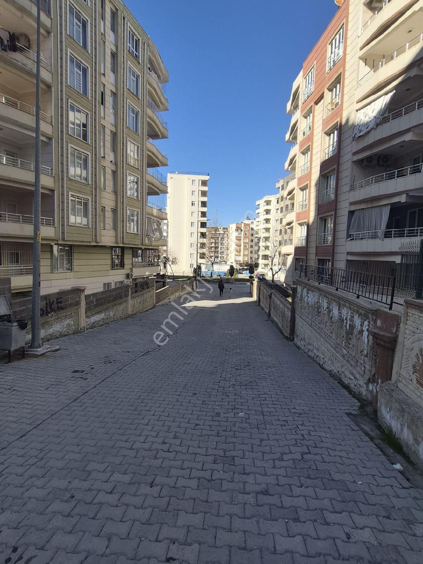 Yavuz Emlak Tan Satılık Giriskat Karaköprü Narlikuyu Mah - Görsel 22