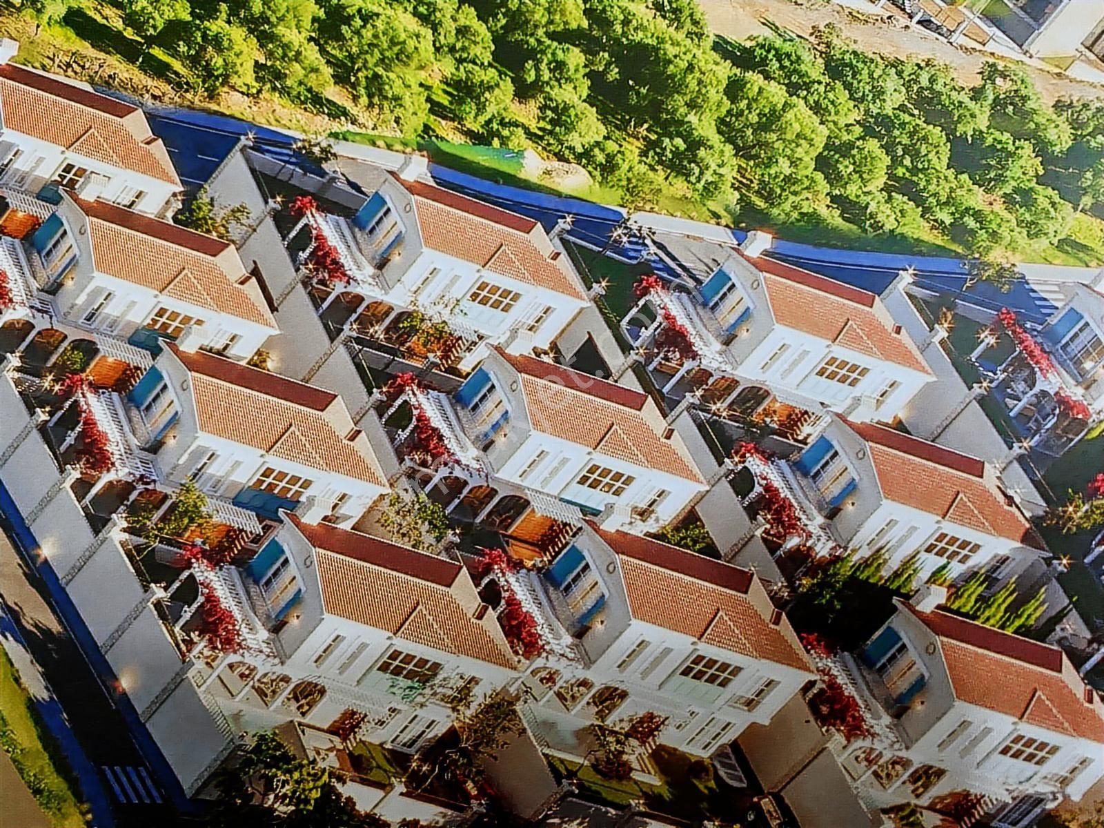 Doğaya Dönüş, Egenin Ruhu, Ezber Bozan, Sofistike - Görsel 9