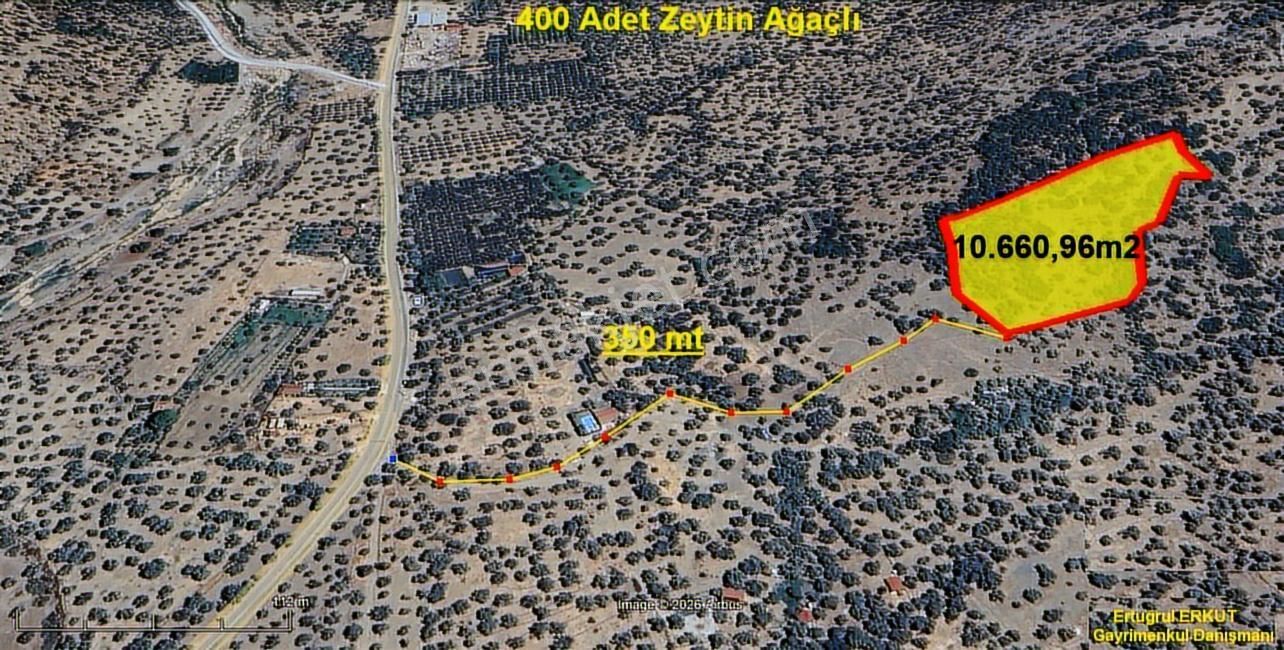İzmir-bayındır-yusuflu Mahallesinde Satılık Zeytin Bahçesi - Görsel 6