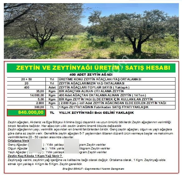 İzmir-bayındır-yusuflu Mahallesinde Satılık Zeytin Bahçesi - Görsel 3