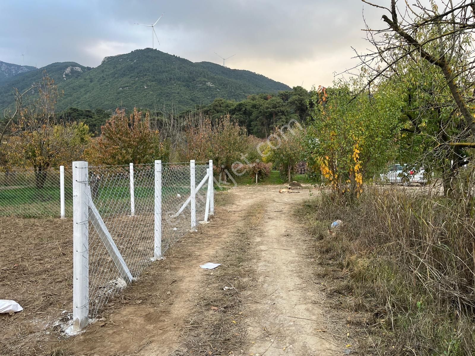 Gökçealan Köyünde Hobi Bahçesi - Görsel 7
