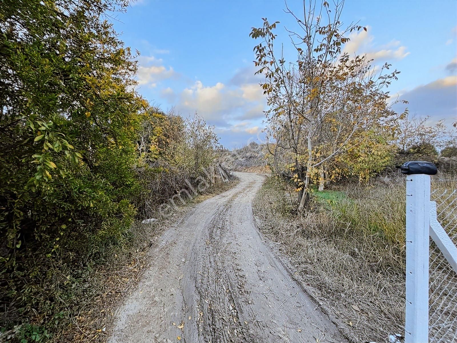 Gökçealan Köyünde Hobi Bahçesi - Görsel 8