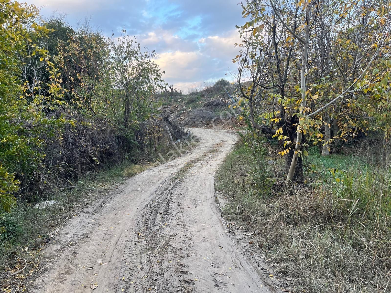 Gökçealan Köyünde Hobi Bahçesi - Görsel 4