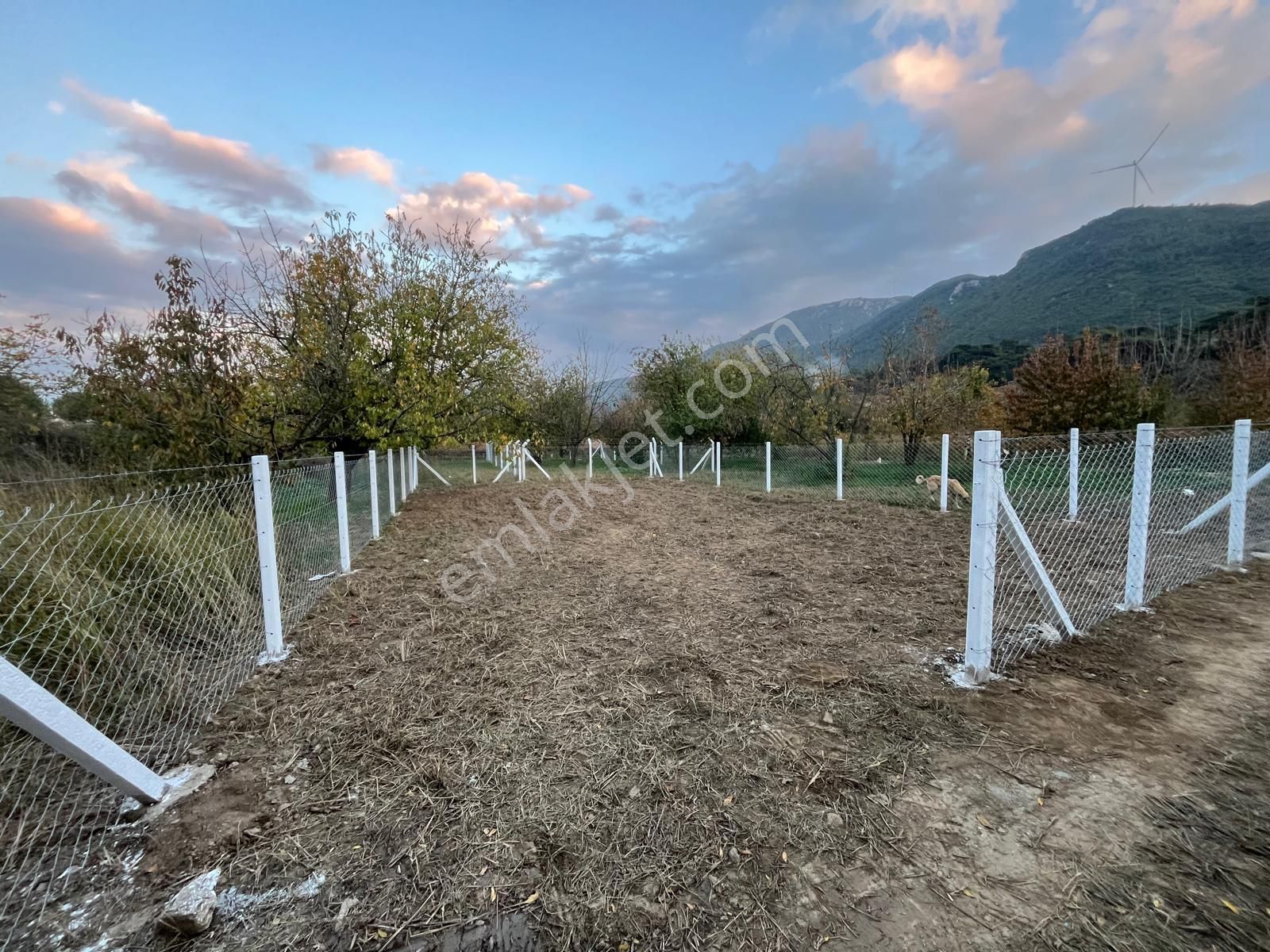 Gökçealan Köyünde Hobi Bahçesi - Görsel 14