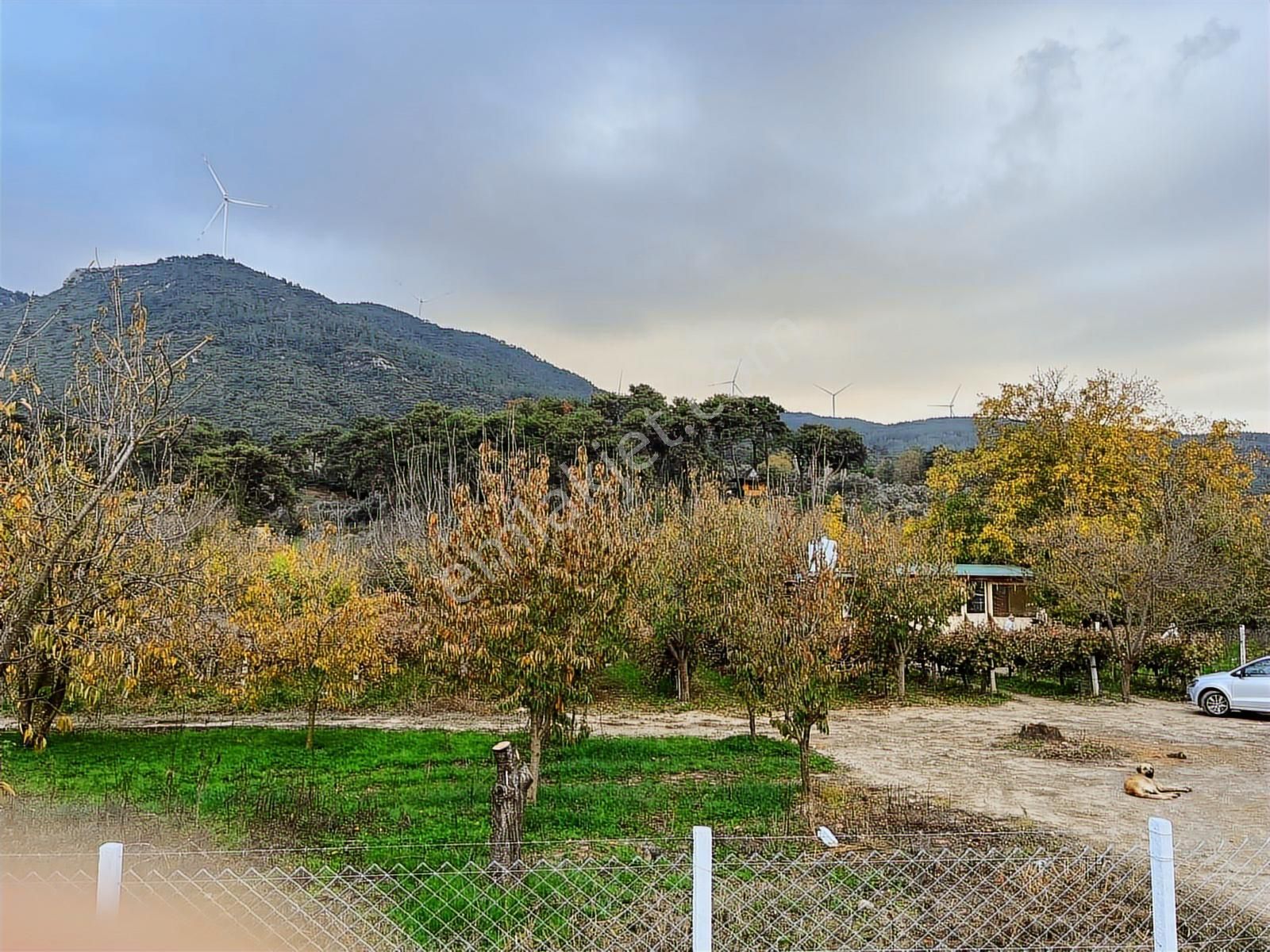 Gökçealan Köyünde Hobi Bahçesi - Görsel 13