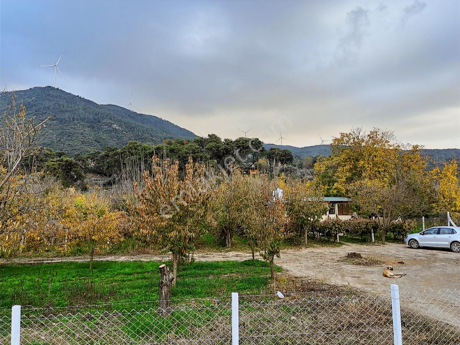 Gökçealan Köyünde Hobi Bahçesi - Görsel 11