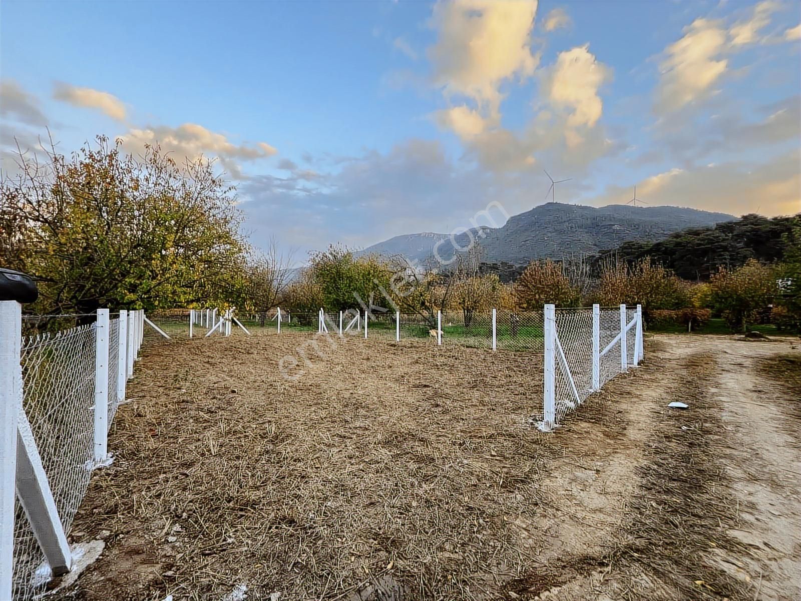 Gökçealan Köyünde Hobi Bahçesi - Görsel 15